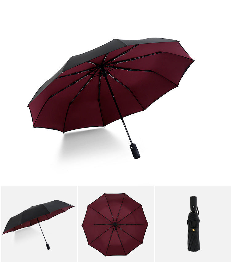 Unisex Umbrella Fully automatic double-layer 10 bone rain and wind resistant triple fold