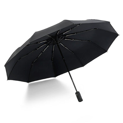 Unisex Umbrella Fully automatic double-layer 10 bone rain and wind resistant triple fold